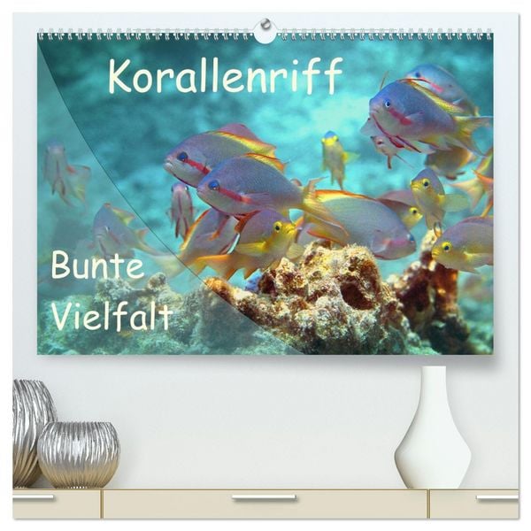 Produktbild: Bunte Vielfalt im Korallenriff (hochwertiger Premium Wandkalender 2026 DIN A2 quer), Kunstdruck in Hochglanz