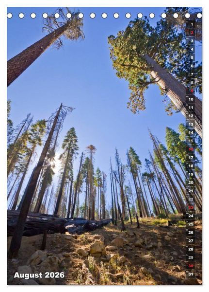 Produktbild: YOSEMITE VALLEY Natur Pur (Tischkalender 2026 DIN A5 hoch), CALVENDO Monatskalender