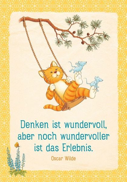 Produktbild: Buchkalender 2027: Om-Katze: Blo&szlig; kein Stress!