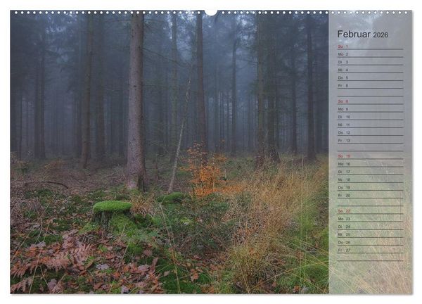 Produktbild: Unser Wald - Magische Sichten in norddeutsche W&auml;lder / Geburtstagskalender (hochwertiger Premium Wandkalender 2026 DIN A2 quer), Kunstdruck in Hochglanz
