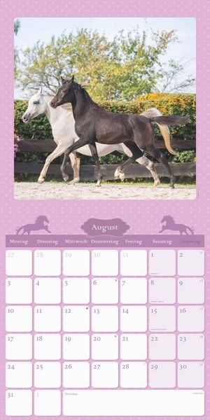 Mein Pferdekalender 2026 - Broschürenkalender 30x30 cm (30x60 geöffnet) - Kalender mit Platz für Notizen - Bildkalender - Wandplaner - Wandkalender