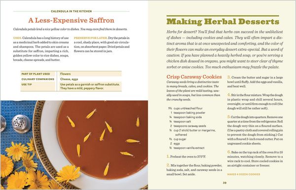 Produktbild: The Beginner's Guide to Edible Herbs