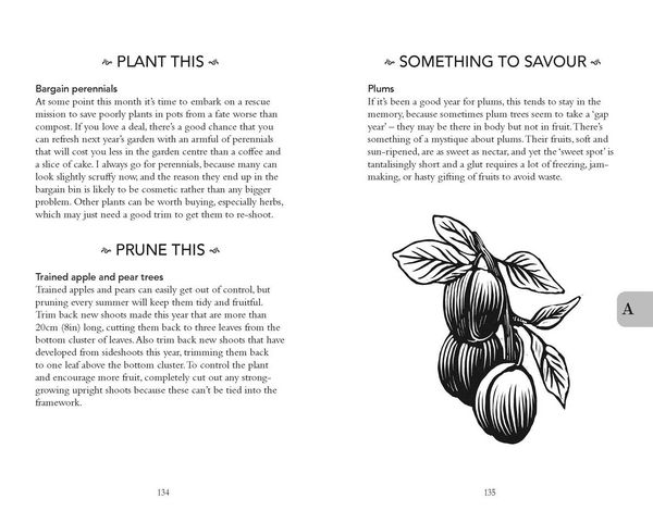 Produktbild: Nt Gardeners Almanac 2027 Hb