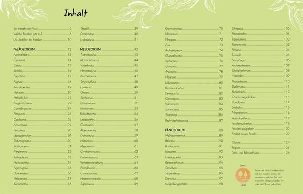 Produktbild: Wundervolle Welt - Kleine Sch&auml;tze. Fossilien