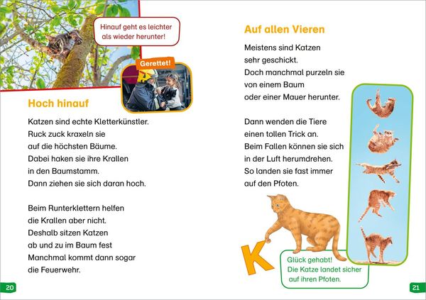 Produktbild: WAS IST WAS Erstes Lesen easy! Band 10. Katzen - meine Lieblingstiere