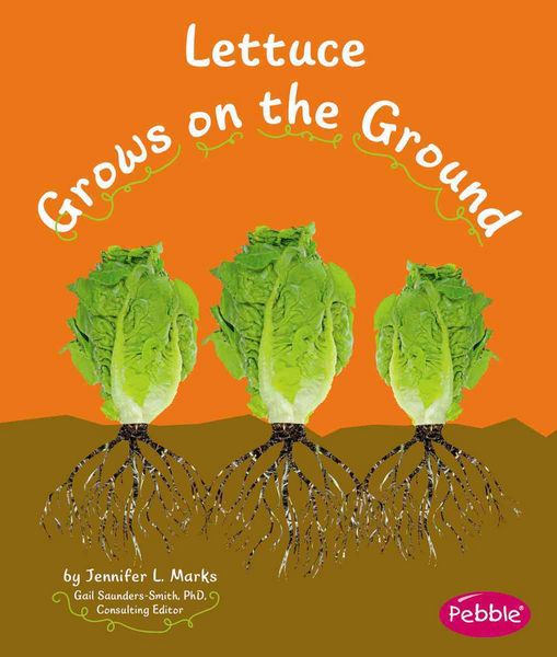 Produktbild: Lettuce Grows On The Ground