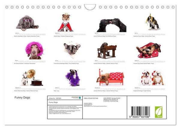 Produktbild: Funny Dogs (Wandkalender 2026 DIN A4 quer), CALVENDO Monatskalender