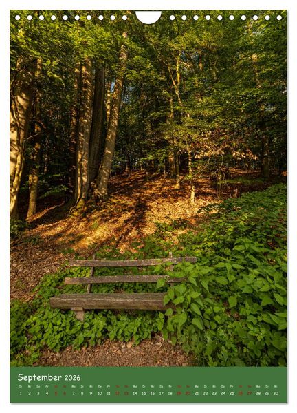 Produktbild: Ich bin dann mal im Wald (Wandkalender 2026 DIN A4 hoch), CALVENDO Monatskalender