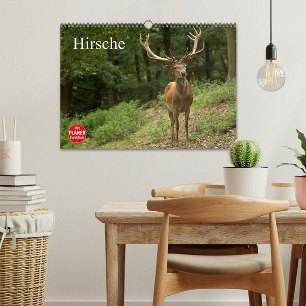 Produktbild: Hirsche (Wandkalender 2026 DIN A3 quer), CALVENDO Monatskalender