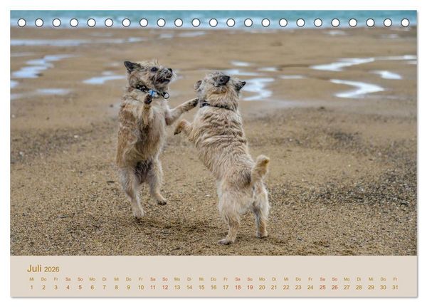Produktbild: Cairns Forever (Tischkalender 2026 DIN A5 quer), CALVENDO Monatskalender