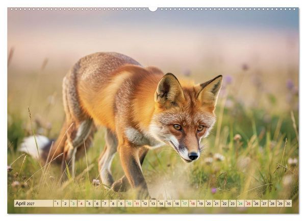 Produktbild: F&uuml;chse in Pastellfarben (Wandkalender 2027 DIN A2 quer), CALVENDO Monatskalender