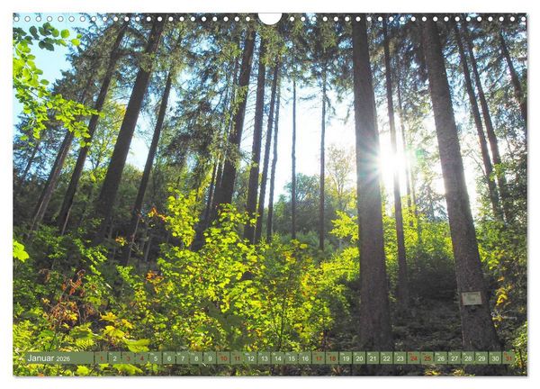 Produktbild: Bad Sachsa - Landschaftsmomente im S&uuml;dharz (Wandkalender 2026 DIN A3 quer), CALVENDO Monatskalender