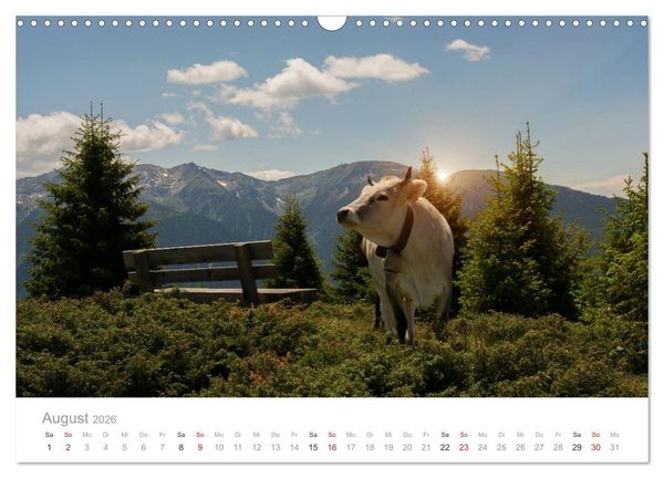 Produktbild: Tiere in Freiheit - Nutztiere auf der Alm (Wandkalender 2026 DIN A3 quer), CALVENDO Monatskalender