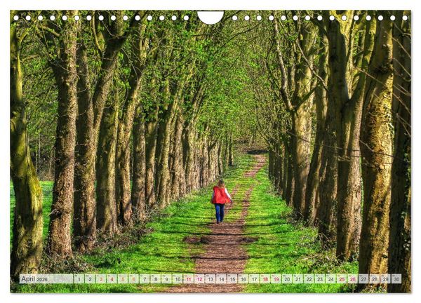 Produktbild: Idyllische Wanderwege im Bergischen Land (Wandkalender 2026 DIN A4 quer), CALVENDO Monatskalender
