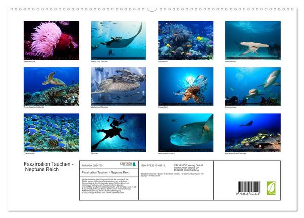 Produktbild: Faszination Tauchen - Neptuns Reich (hochwertiger Premium Wandkalender 2026 DIN A2 quer), Kunstdruck in Hochglanz