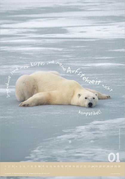 Produktbild: Tierisch cool! 2027