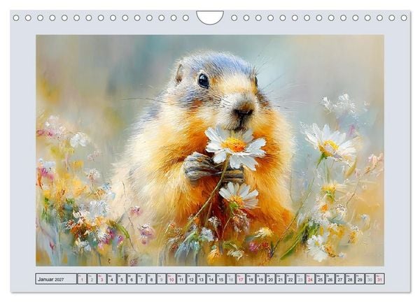 Produktbild: Murmeltiere. Kleine W&auml;chter der Berge (Wandkalender 2027 DIN A4 quer), CALVENDO Monatskalender