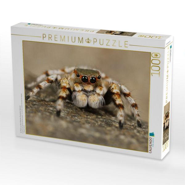 Produktbild: CALVENDO Puzzle Ein Motiv aus dem Kalender Faszination Spinnen | 1000 Teile Lege-Gr&ouml;&szlig;e 64x48cm Foto-Puzzle f&uuml;r gl&uuml;ckliche Stunden