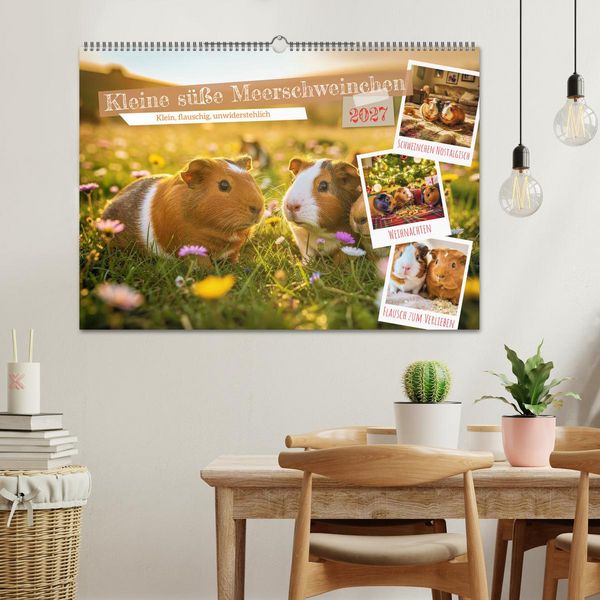 Produktbild: Kleine s&uuml;&szlig;e Meerschweinchen (Wandkalender 2027 DIN A2 quer), CALVENDO Monatskalender