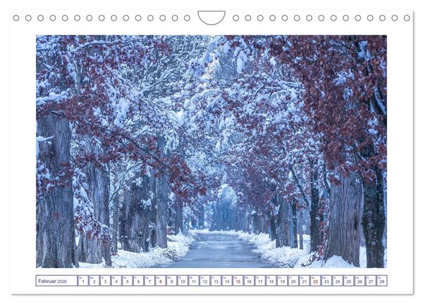 Produktbild: Radolfzell am sch&ouml;nen Bodensee (Wandkalender 2026 DIN A4 quer), CALVENDO Monatskalender