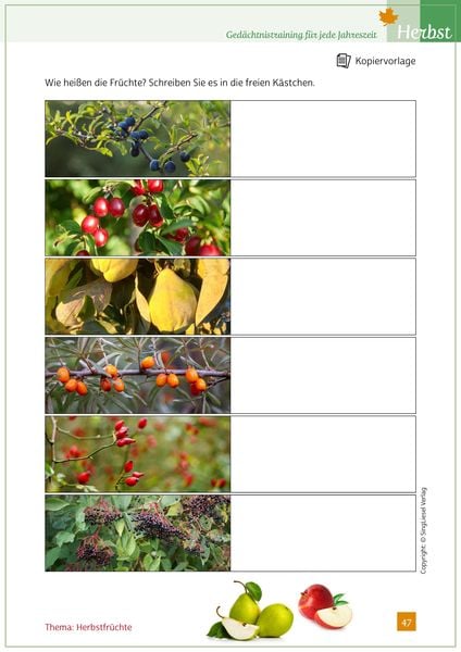 Produktbild: Ged&auml;chtnistraining f&uuml;r jede Jahreszeit - Herbst. F&uuml;r Senioren. Auch mit Demenz. Mit Kopiervorlagen