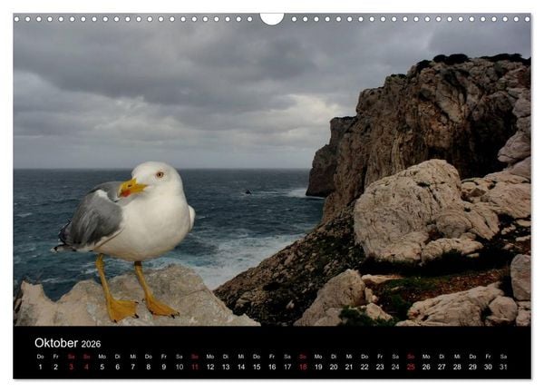 Produktbild: WILD - Tierkalender 2026 (Wandkalender 2026 DIN A3 quer), CALVENDO Monatskalender
