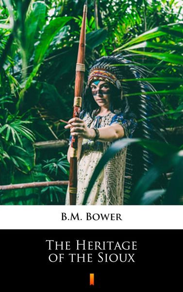 Produktbild: The Heritage of the Sioux