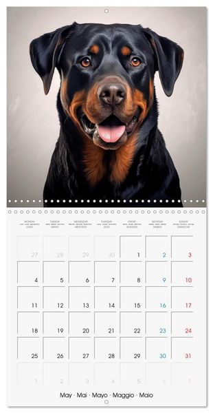Produktbild: Portraits de grands chiens (Calendrier mural carr&eacute; 2026 30x30 cm) Calendrier double avec une page pour vos prises de notes