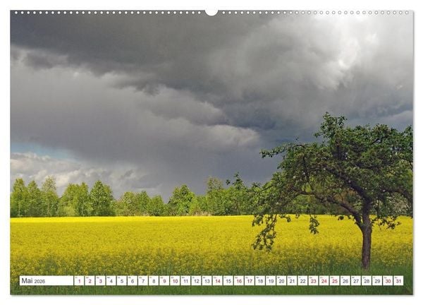 Produktbild: Wildes Wendland (Wandkalender 2026 DIN A2 quer), CALVENDO Monatskalender