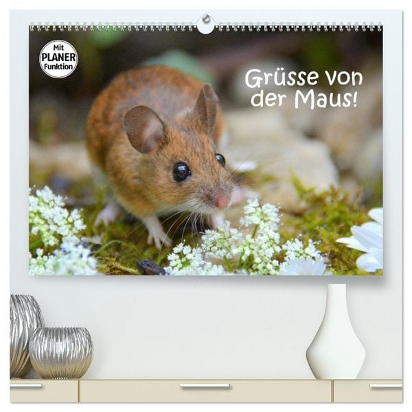 Produktbild: Gr&uuml;sse von der Maus! (hochwertiger Premium Wandkalender 2026 DIN A2 quer), Kunstdruck in Hochglanz