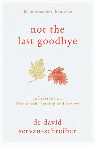 Produktbild: Not the Last Goodbye