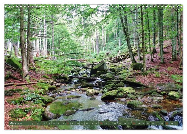 Produktbild: Wandererlebnisse im Bayrischen Wald (Wandkalender 2026 DIN A3 quer), CALVENDO Monatskalender