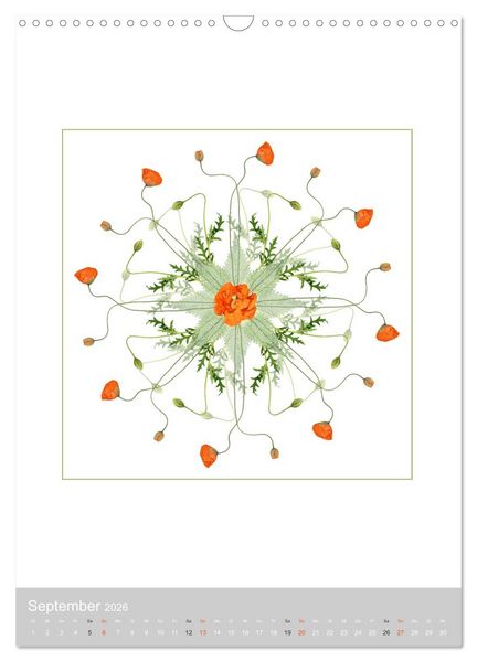 Produktbild: Pflanzen - Mandalas aus Bl&uuml;ten und Bl&auml;ttern (Wandkalender 2026 DIN A3 hoch), CALVENDO Monatskalender