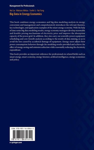 Produktbild: Big Data in Energy Economics