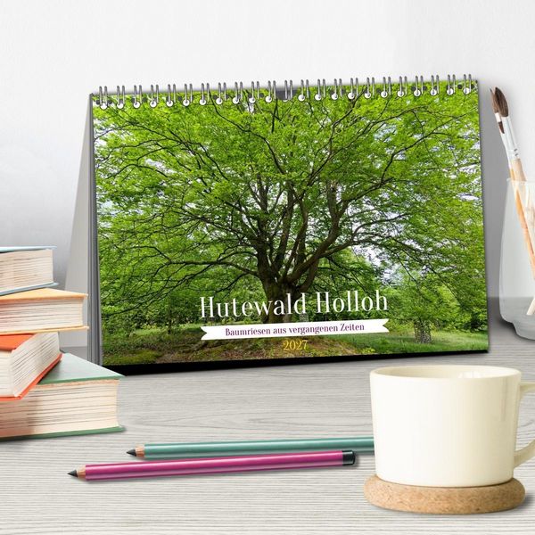 Produktbild: Hutewald Halloh - Baumriesen aus vergangenen Zeiten (Tischkalender 2027 DIN A5 quer), CALVENDO Monatskalender