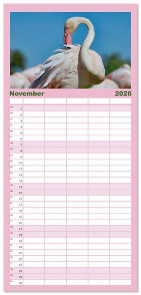 Produktbild: Familienplaner 2026 - The Power Of Pink mit 5 Spalten (Wandkalender, 21 x 45 cm) CALVENDO