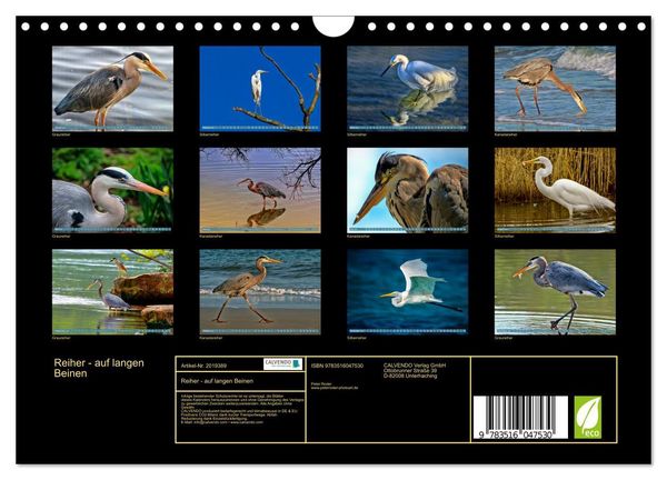 Produktbild: Reiher - auf langen Beinen (Wandkalender 2026 DIN A4 quer), CALVENDO Monatskalender