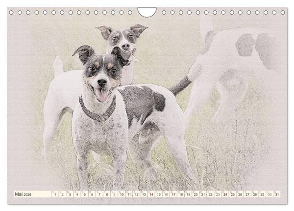 Produktbild: Bodeguero Andaluz 2026 (Wandkalender 2026 DIN A4 quer), CALVENDO Monatskalender