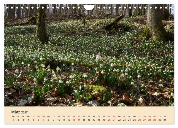 Produktbild: Franken - eine Region voller Naturwunder (Wandkalender 2027 DIN A4 quer), CALVENDO Monatskalender