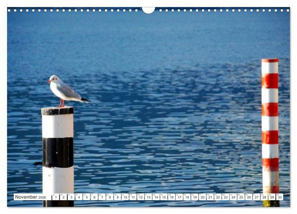Produktbild: Traumkulisse Gardasee (Wandkalender 2026 DIN A3 quer), CALVENDO Monatskalender
