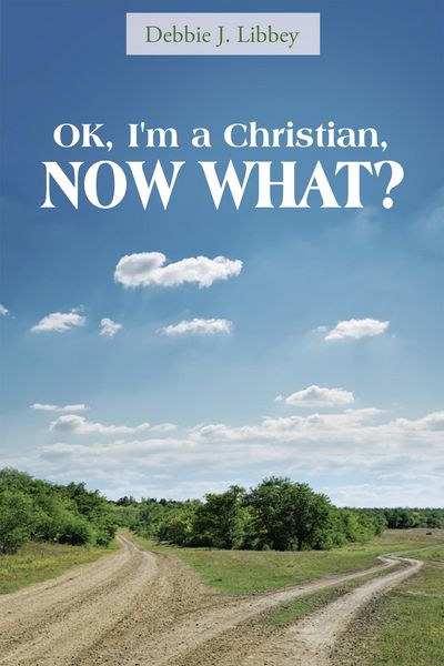 Produktbild: Ok, I'm a Christian, Now What?