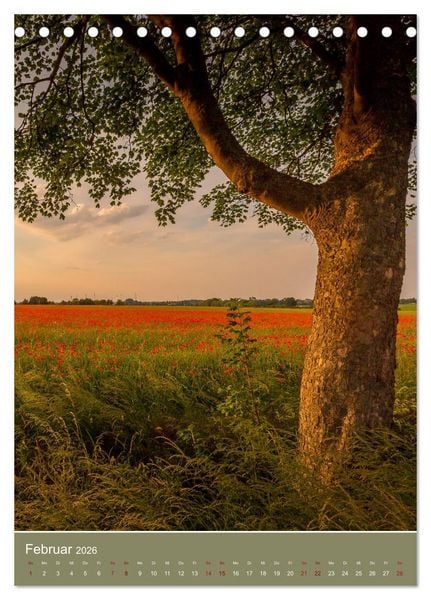 Produktbild: Mohnblumen - kraftvoll und zart (Tischkalender 2026 DIN A5 hoch), CALVENDO Monatskalender