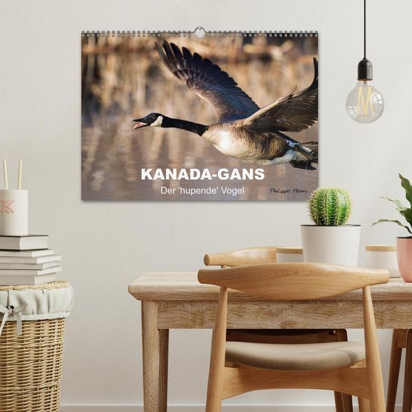 Produktbild: KANADA-GANS - Der 'hupende' Vogel (Wandkalender 2026 DIN A3 quer), CALVENDO Monatskalender