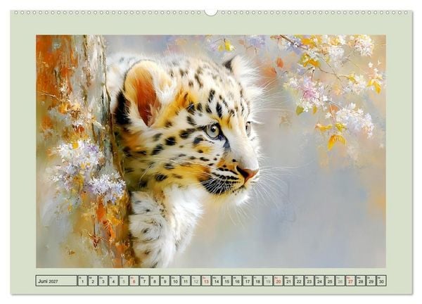 Produktbild: Schneeleoparden. Babys in der leuchtenden Natur (hochwertiger Premium Wandkalender 2027 DIN A2 quer), Kunstdruck in Hochglanz