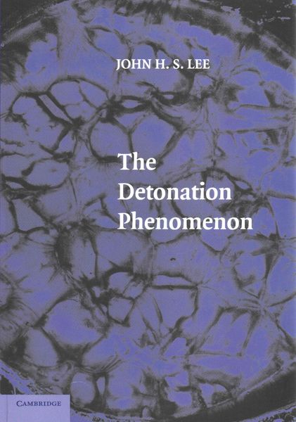 Produktbild: The Detonation Phenomenon