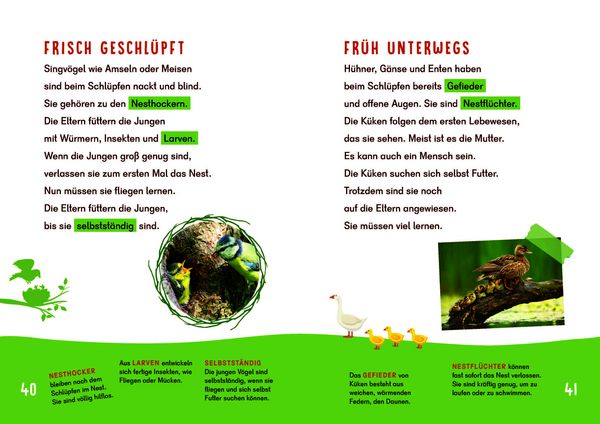 Produktbild: Dein Lesestart - V&ouml;gel