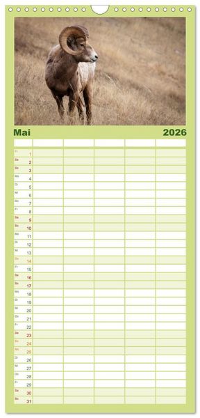 Produktbild: Familienplaner 2026 - Wildtierkalender mit 5 Spalten (Wandkalender, 21 x 45 cm) CALVENDO