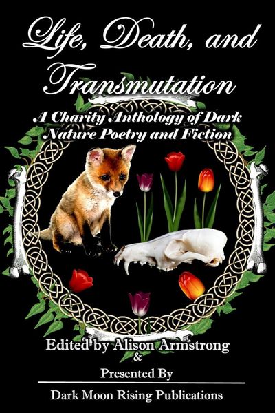 Produktbild: Life, Death, and Transmutation: A Charity Anthology of Dark Poetry and Fiction