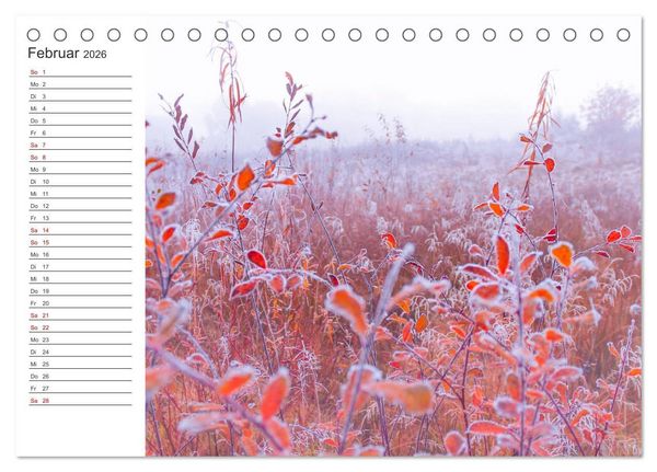 Produktbild: Worpswede - Natursch&ouml;nheiten im Teufelsmoor (Tischkalender 2026 DIN A5 quer), CALVENDO Monatskalender