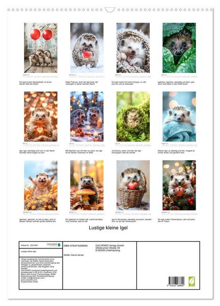 Produktbild: Lustige kleine Igel (Wandkalender 2026 DIN A2 hoch), CALVENDO Monatskalender